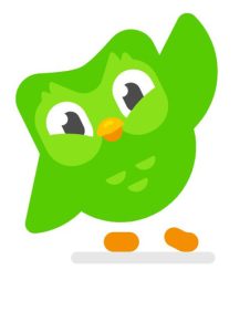 Duo (Duolingo Owl)